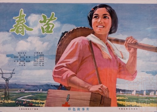 岐阜医科大学Businessdiploma
